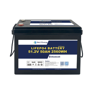 comprar Bely Energía segura y confiable 48v 50ah Lifepo4 batería para el EV de electrónica de consumo online manufacture