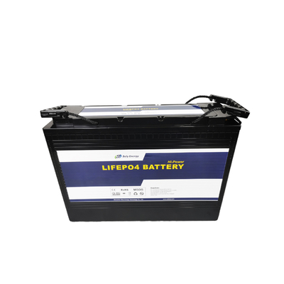24 ciclos profundos Marine Battery del litio de voltio
